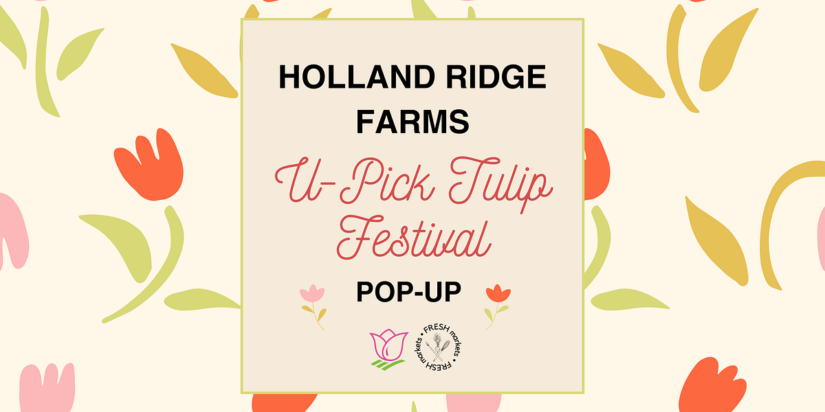 2024 Holland Ridge Farms U-Pick Tulip Festival Pop-Up Image